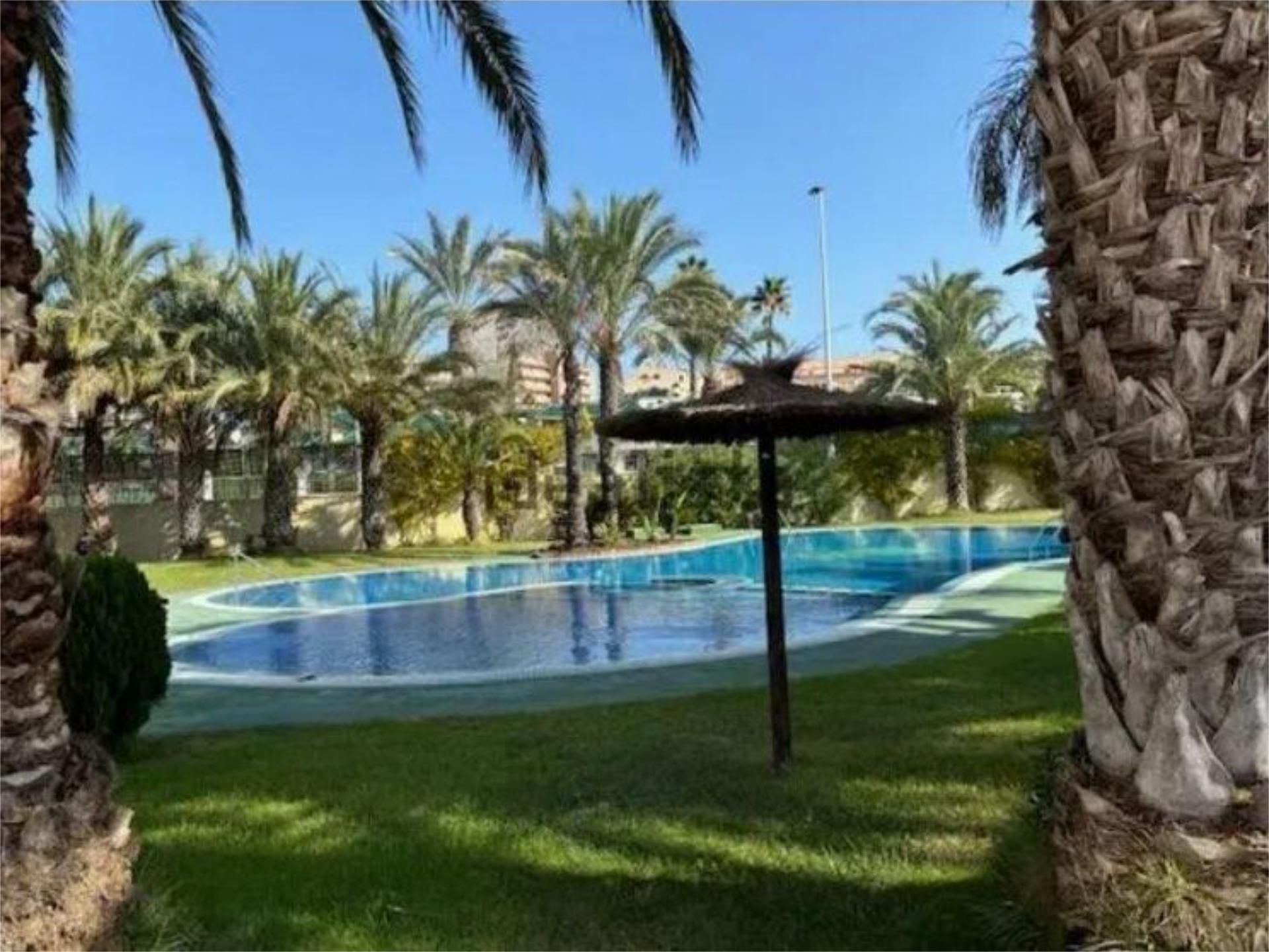 Swimming pool of Apartment for sale in Elche / Elx  with Air Conditioner, Terrace and Swimming Pool