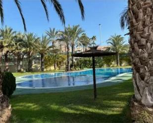 Swimming pool of Apartment for sale in Elche / Elx  with Air Conditioner, Private garden and Terrace