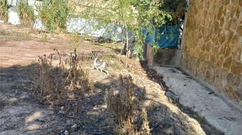 Photo 3 of Country house for sale in Calle Camino del Rio, 3, Villapalacios, Albacete