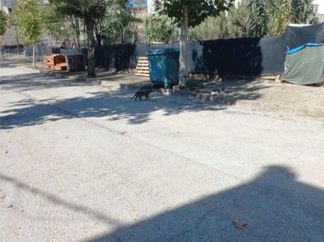 Finca rústica en Venta en Calle Camino del Rio, 3 en Villapalacios