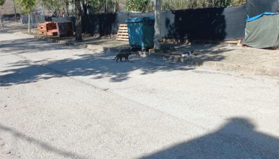 Photo 1 of Country house for sale in Calle Camino del Rio, 3, Villapalacios, Albacete