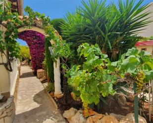 Jardí de Casa o xalet en venda en Calpe / Calp amb Aire condicionat, Terrassa i Piscina