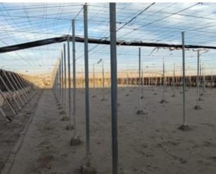 Garden of Land for sale in  Almería Capital
