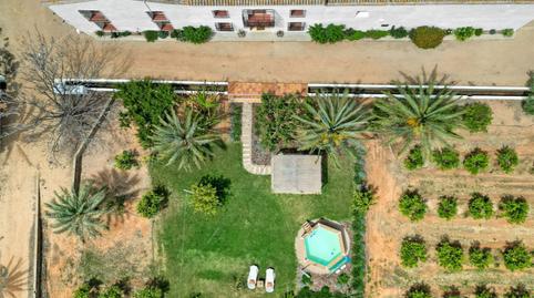 Country house to rent in Rust. Poligon 22 Cotes, 30, Algemesí, Valencia - image 3 Photo 3 of Country house to rent in Rust. Poligon 22 Cotes, 30, Algemesí, Valencia