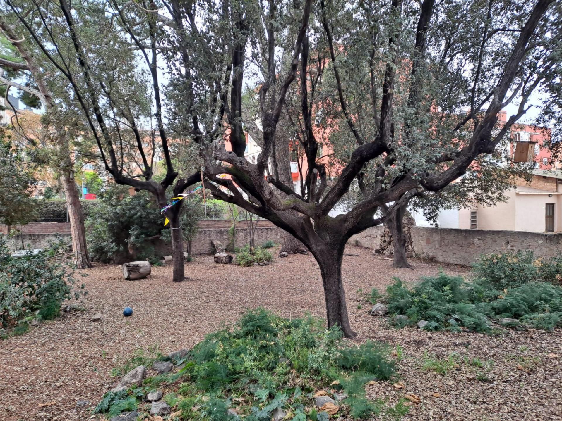 Jardí de Urbanitzable en venda en Sant Joan Despí