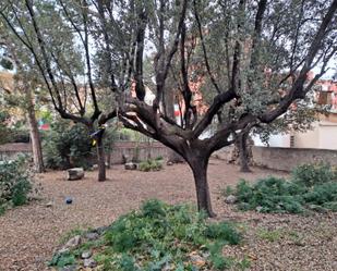 Jardí de Urbanitzable en venda en Sant Joan Despí