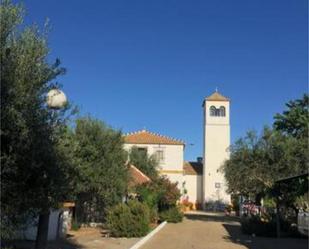 Exterior view of Single-family semi-detached for sale in Utrera  with Heating, Private garden and Terrace