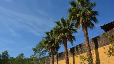 Casa o chalet de alquiler en Carrer de L'ebre, 15, Olivella, Barcelona - imagen 4 Foto 4 de Casa o chalet de alquiler en Carrer de L'ebre, 15, Olivella, Barcelona