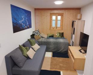 Sala d'estar de Apartament de lloguer en Sierra Nevada amb Calefacció i Moblat