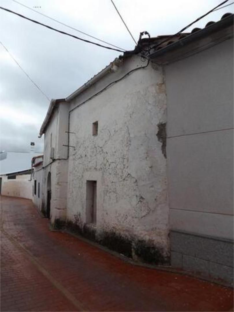 Exterior view of House or chalet for sale in Ibahernando  with Private garden