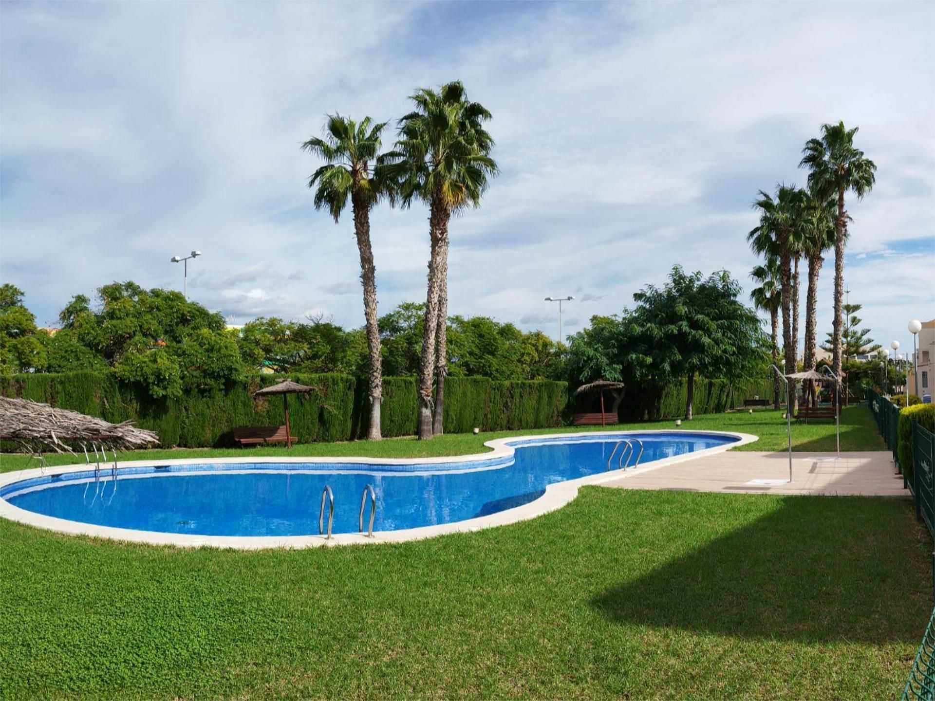 Swimming pool of House or chalet to rent in Alicante / Alacant  with Air Conditioner, Heating and Private garden
