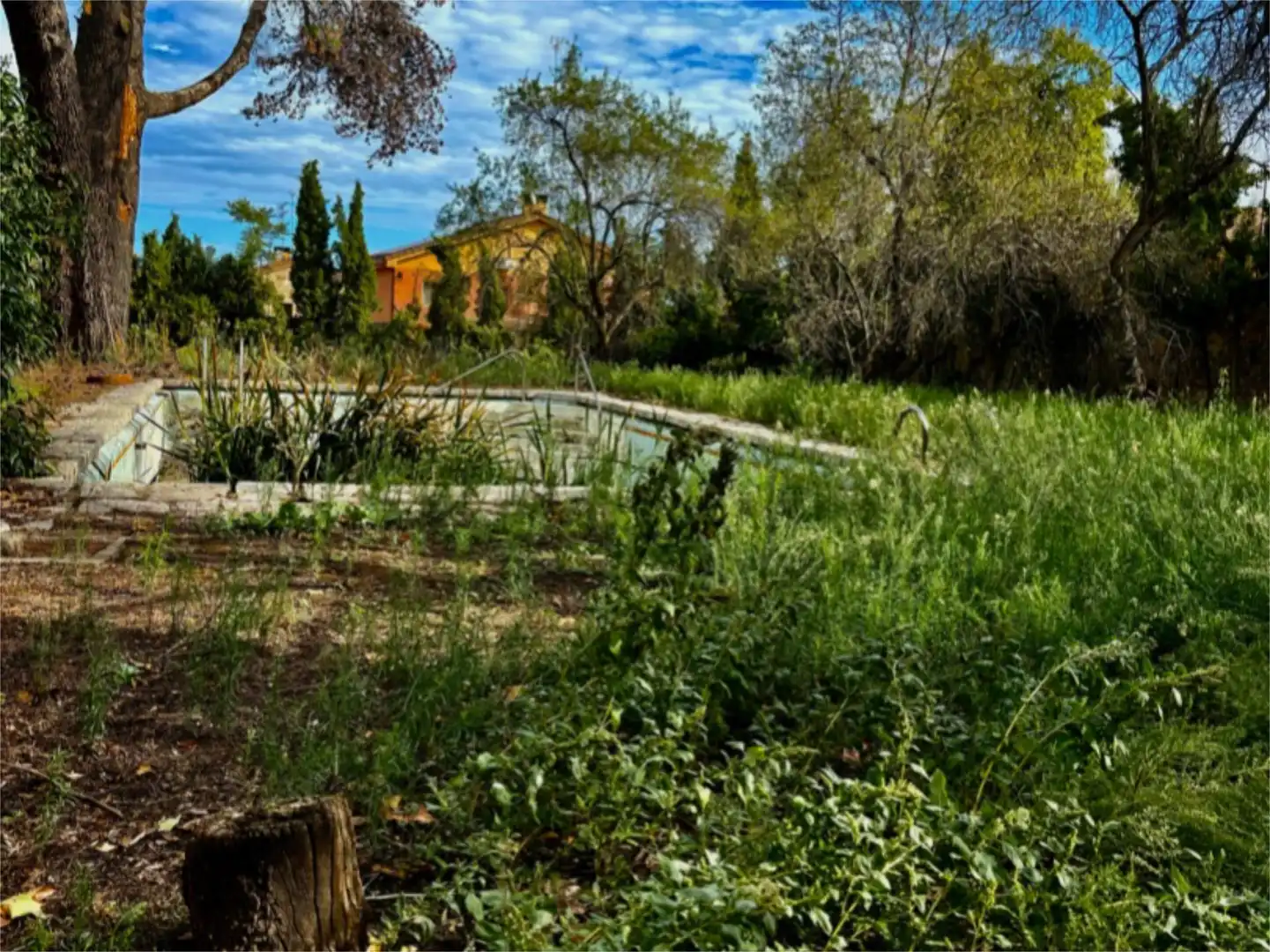 Jardín de Casa o chalet en venta en El Molar (Madrid) con Calefacción, Jardín privado y Parquet