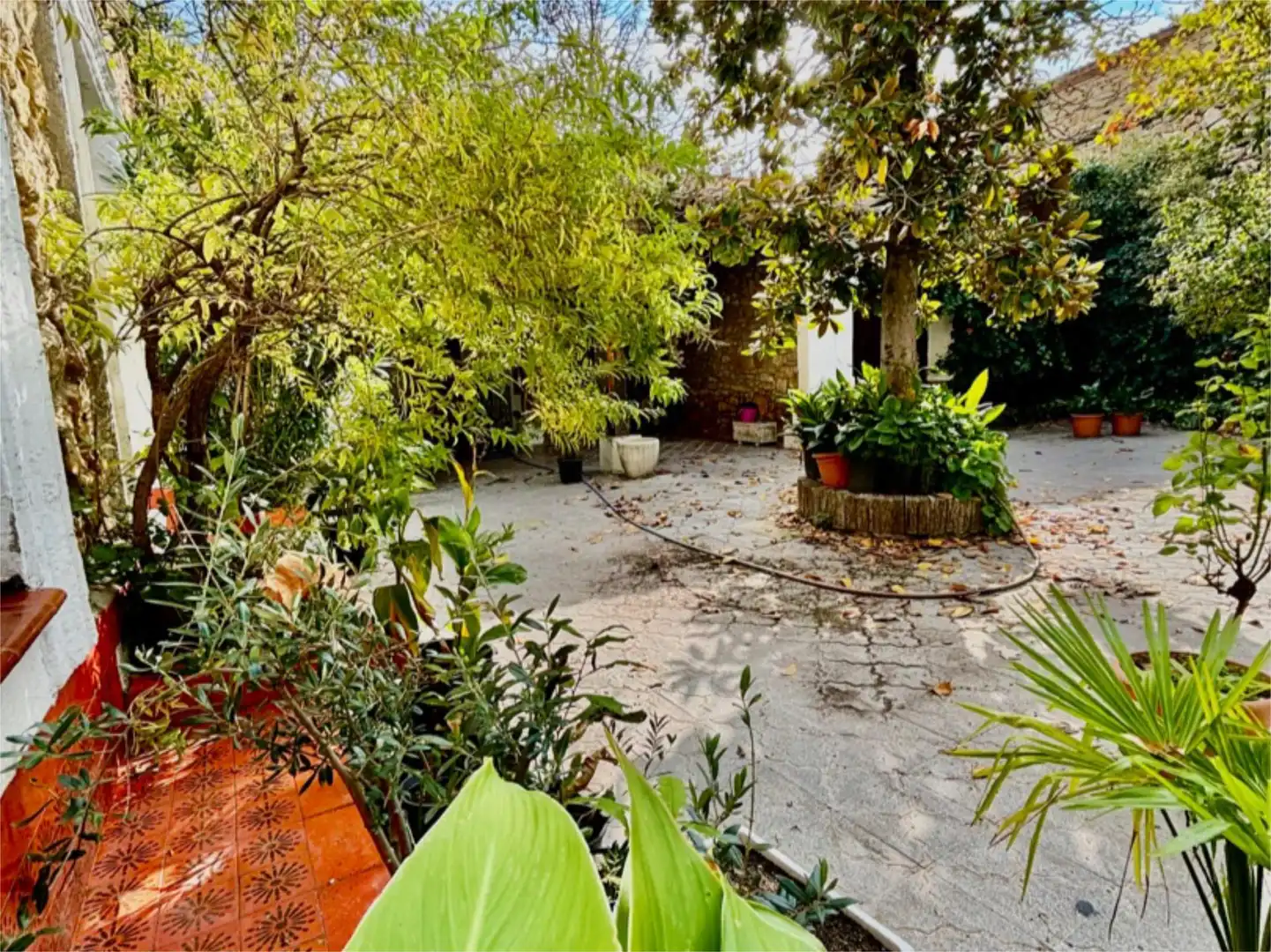 Jardín de Casa o chalet en venta en El Molar (Madrid) con Calefacción, Jardín privado y Parquet