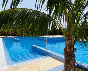 Swimming pool of Study to rent in La Alcaidesa  with Air Conditioner, Heating and Terrace