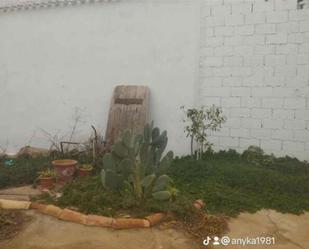 Jardí de Casa o xalet en venda en La Gineta