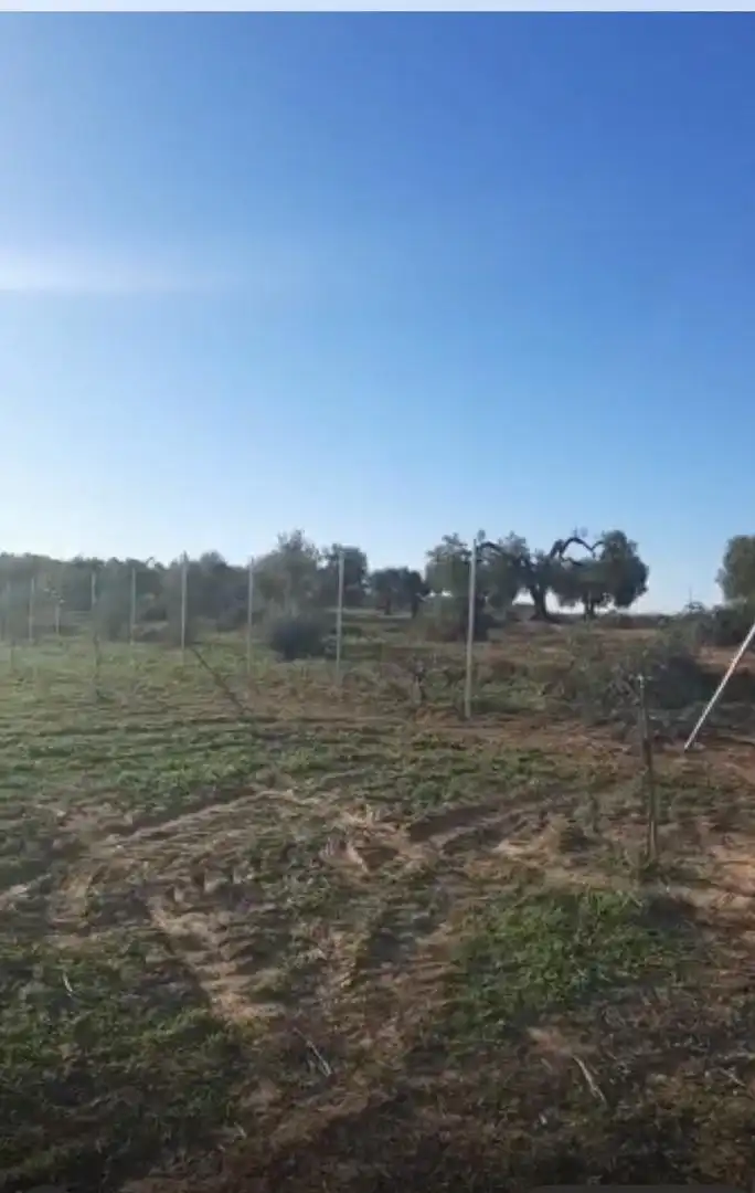 Finca rústica en venda en Bollullos Par del Condado