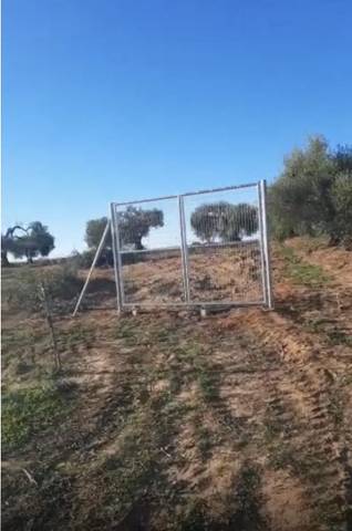 Finca rústica en Venta en Calle Miguel Hernández, 1 en Bollullos Par del Condado