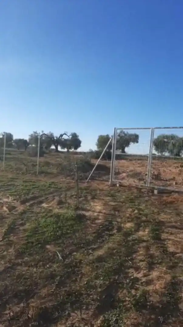 Finca rústica en venda en Bollullos Par del Condado