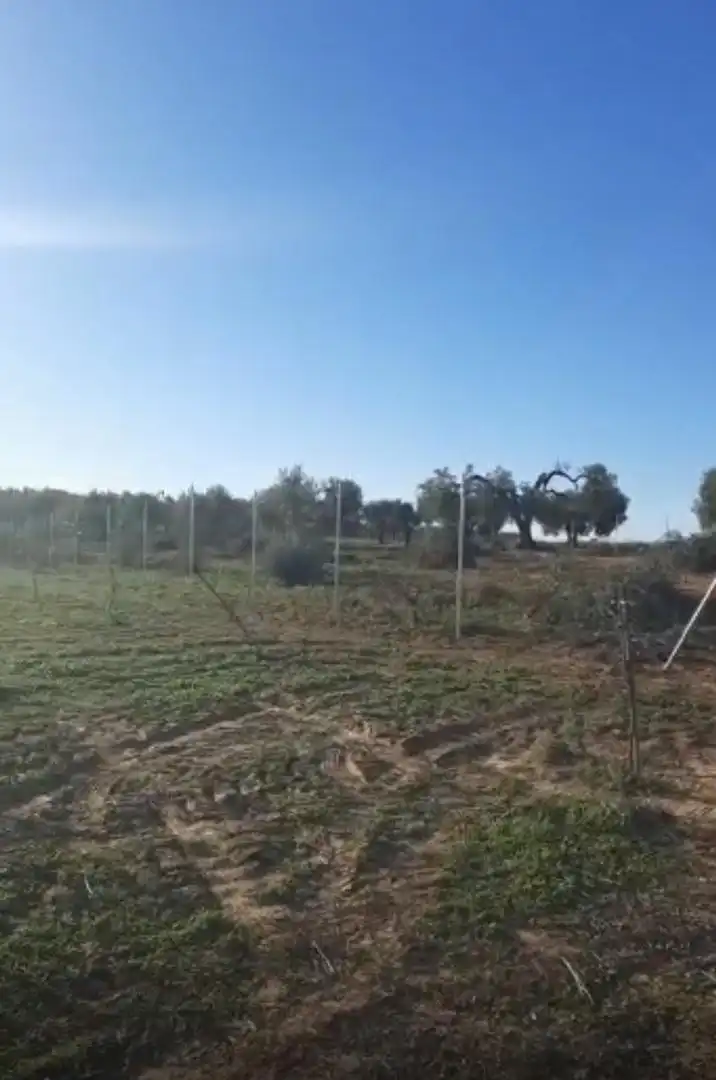Finca rústica en venda en Bollullos Par del Condado
