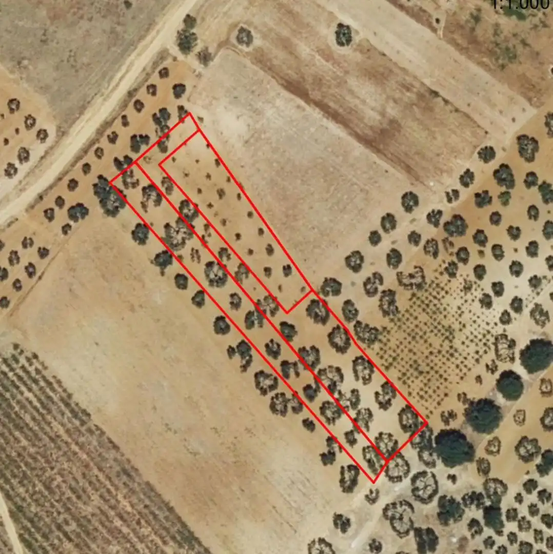 Finca rústica en venda en Bollullos Par del Condado