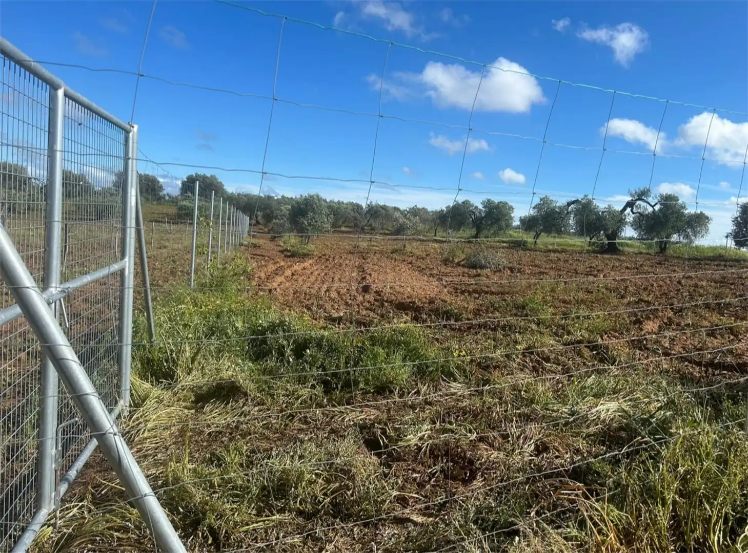 Finca rústica en venda en Bollullos Par del Condado