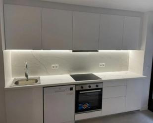 Kitchen of Flat to rent in  Madrid Capital  with Heating, Private garden and Parquet flooring