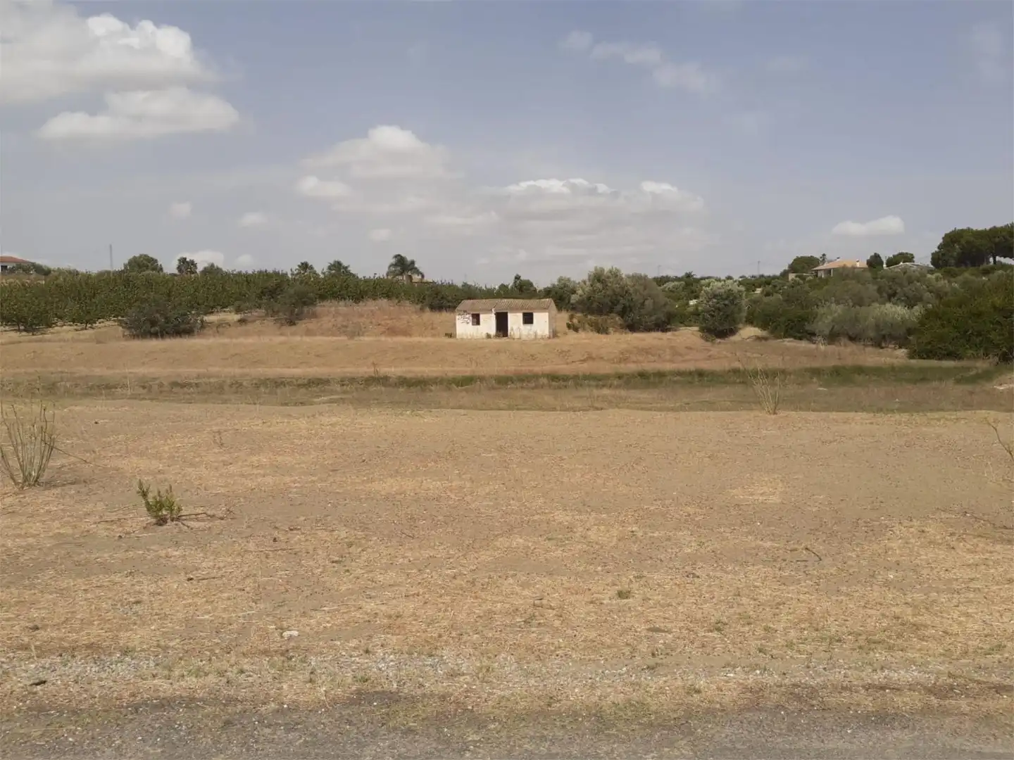 Finca rústica de alquiler en Urbanización Malvinas, 12, Centro Finca rústica de alquiler en Alhaurín El Grande