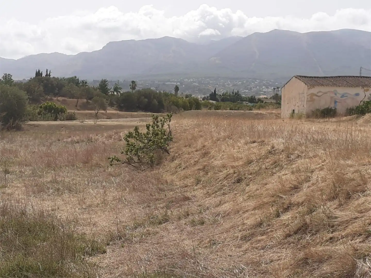 Finca rústica de alquiler en Urbanización Malvinas, 12, Centro Finca rústica de alquiler en Alhaurín El Grande