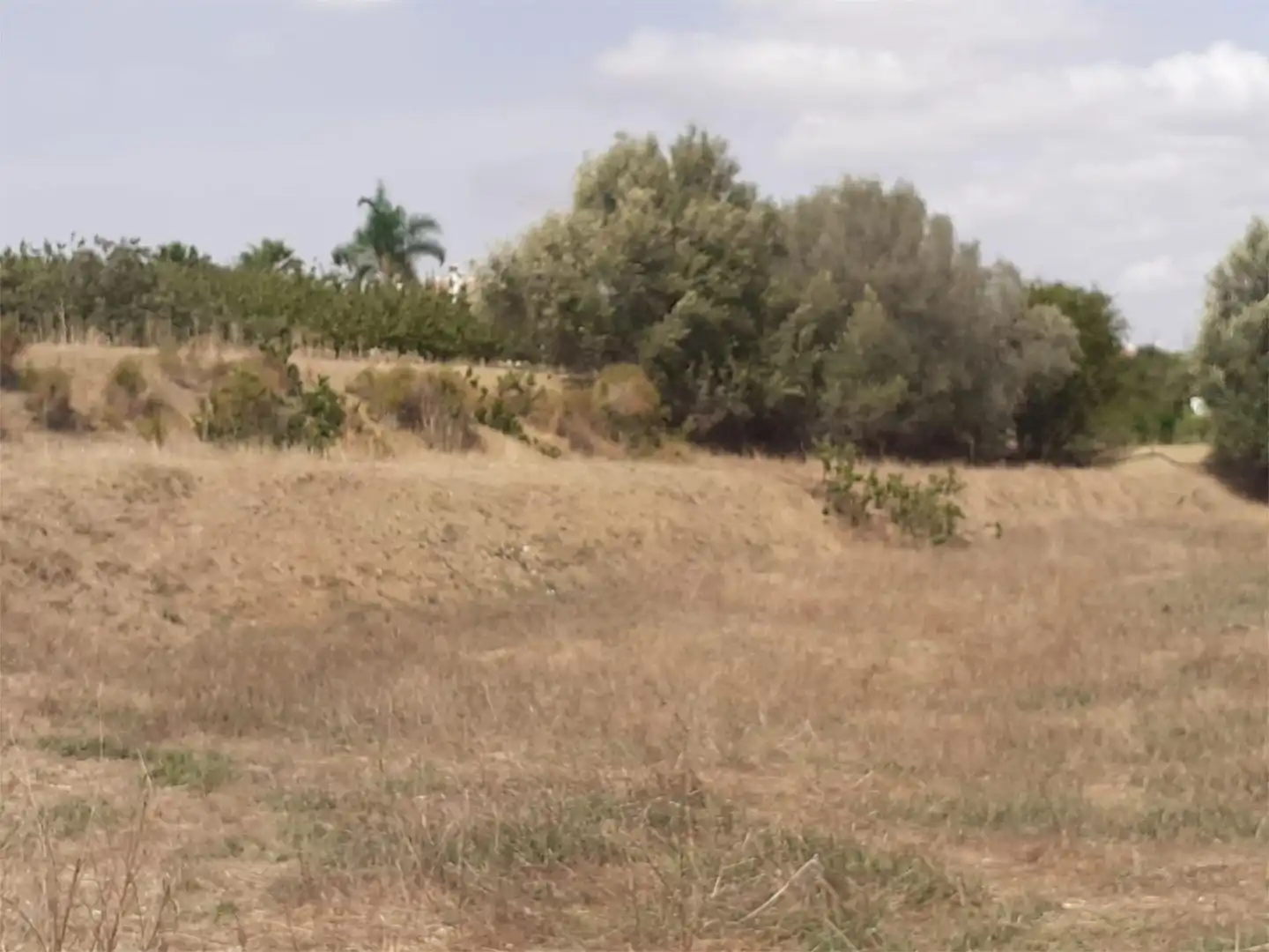 Finca rústica de alquiler en Urbanización Malvinas, 12, Centro Finca rústica de alquiler en Alhaurín El Grande
