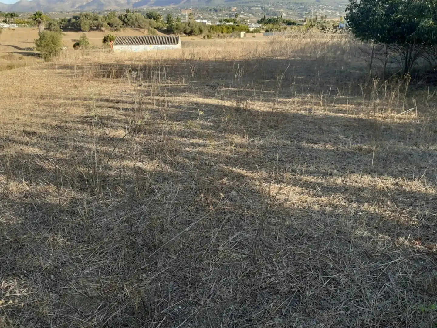 Finca rústica de alquiler en Urbanización Malvinas, 12, Centro Finca rústica de alquiler en Alhaurín El Grande