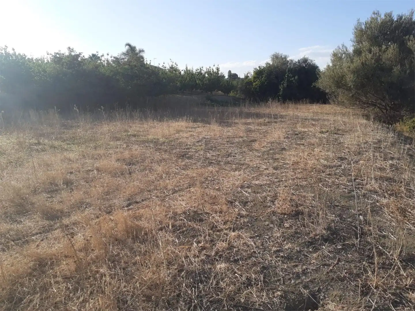 Finca rústica de alquiler en Urbanización Malvinas, 12, Centro Finca rústica de alquiler en Alhaurín El Grande