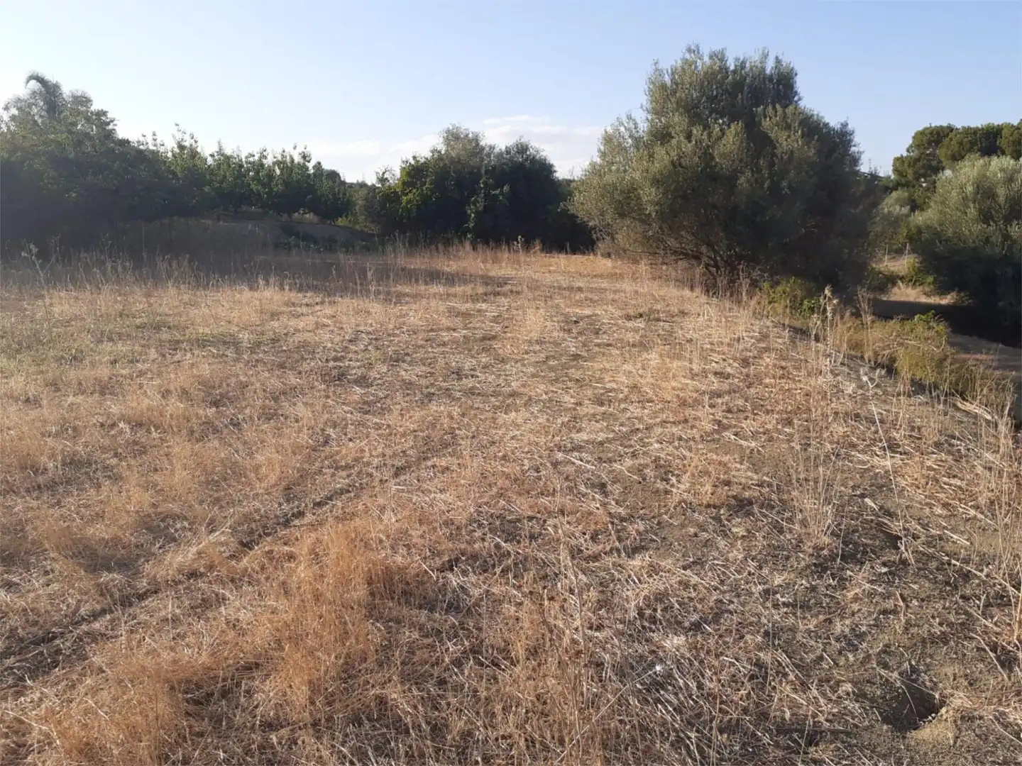 Finca rústica de alquiler en Urbanización Malvinas, 12, Centro Finca rústica de alquiler en Alhaurín El Grande
