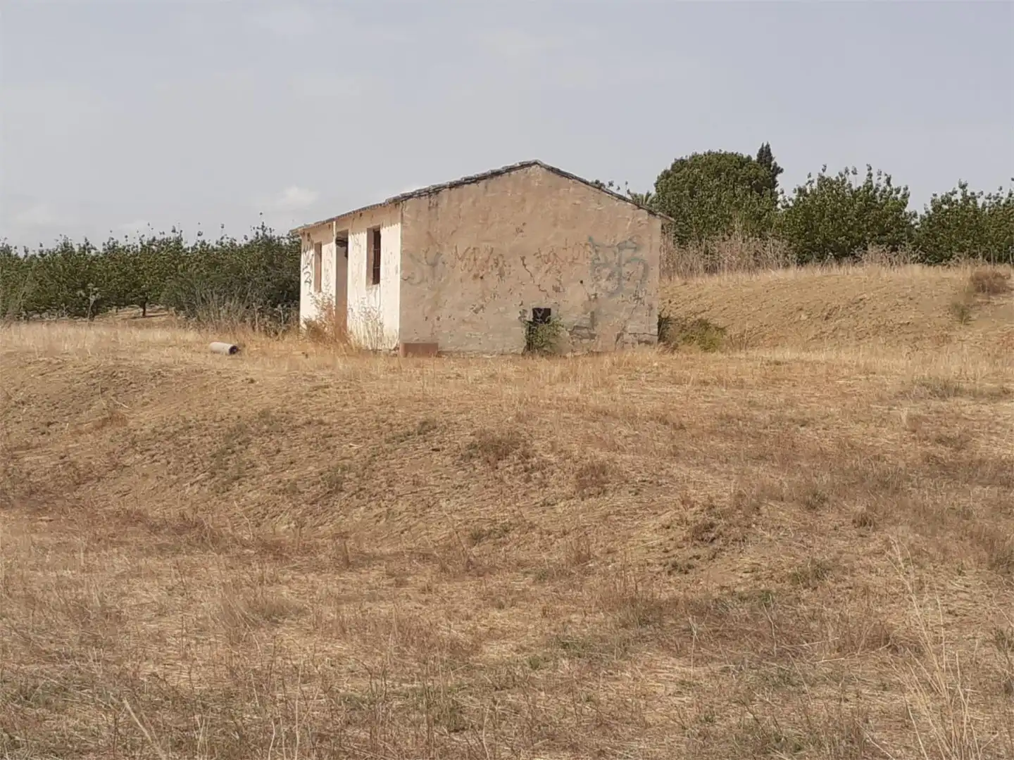 Finca rústica de alquiler en Urbanización Malvinas, 12, Centro Finca rústica de alquiler en Alhaurín El Grande