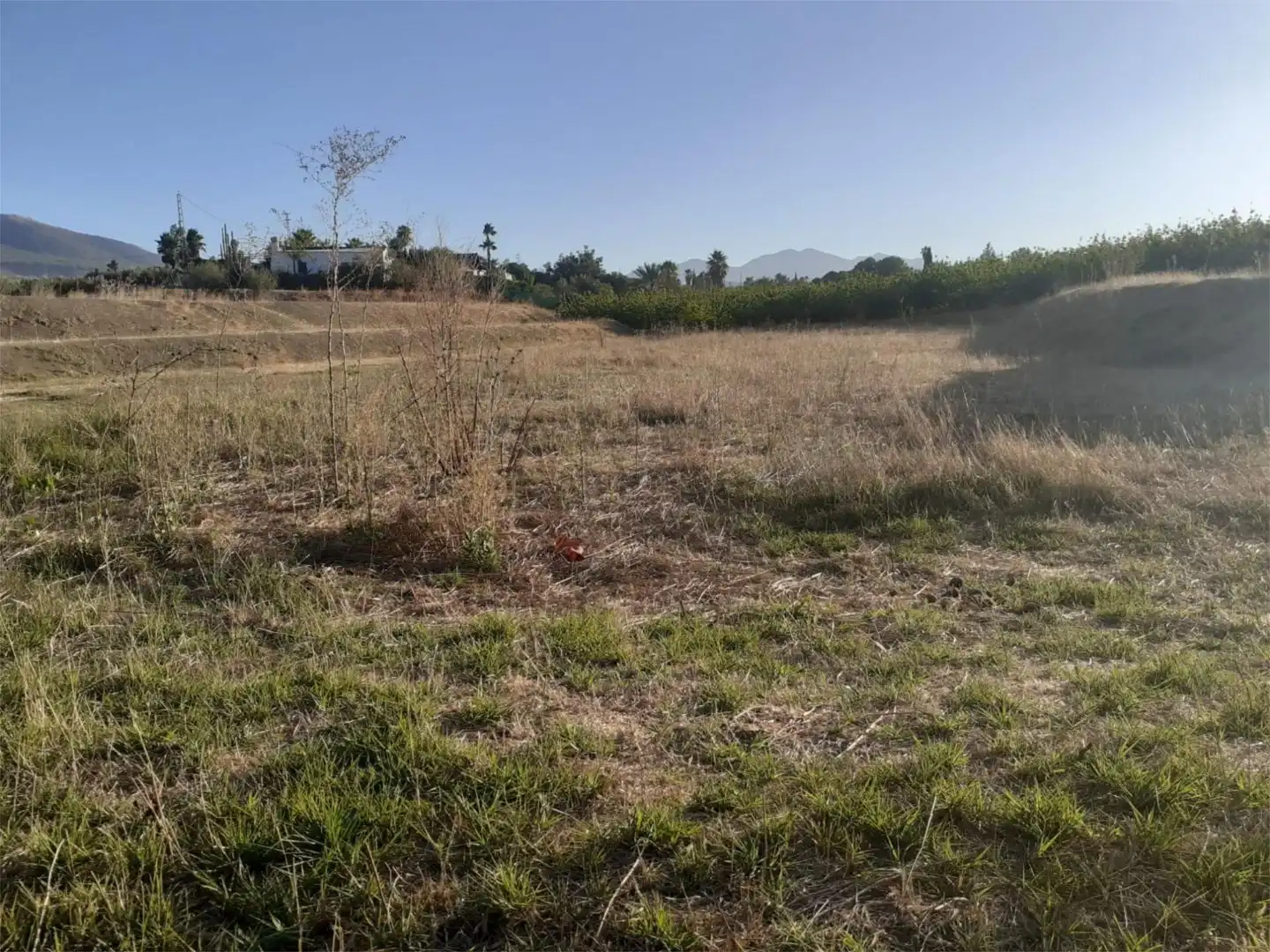 Finca rústica de alquiler en Urbanización Malvinas, 12, Centro Finca rústica de alquiler en Alhaurín El Grande