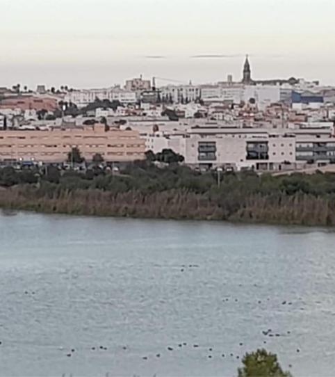 Land for sale in Calle Via Matacardillo, 26, Puertas del sur - Guadabajaque, Cádiz - image 2 Photo 2 of Land for sale in Calle Via Matacardillo, 26, Puertas del sur - Guadabajaque, Cádiz