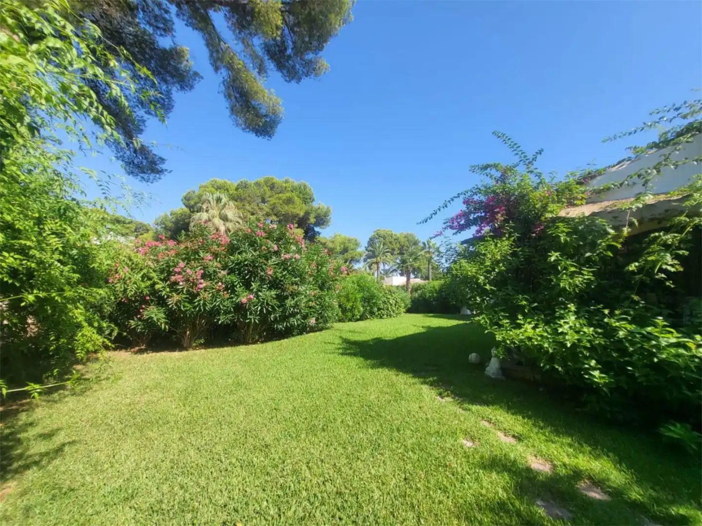 Casa o chalet de alquiler en Calle Chopo, 21, Cap Martí - El Tossalet - Pinomar Casa o chalet de alquiler en Calle Chopo, 21, Cap Martí - El Tossalet - Pinomar