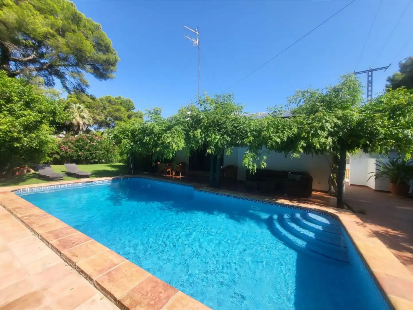 Casa o chalet de alquiler en Calle Chopo, 21, Cap Martí - El Tossalet - Pinomar Casa o chalet de alquiler en Calle Chopo, 21, Cap Martí - El Tossalet - Pinomar