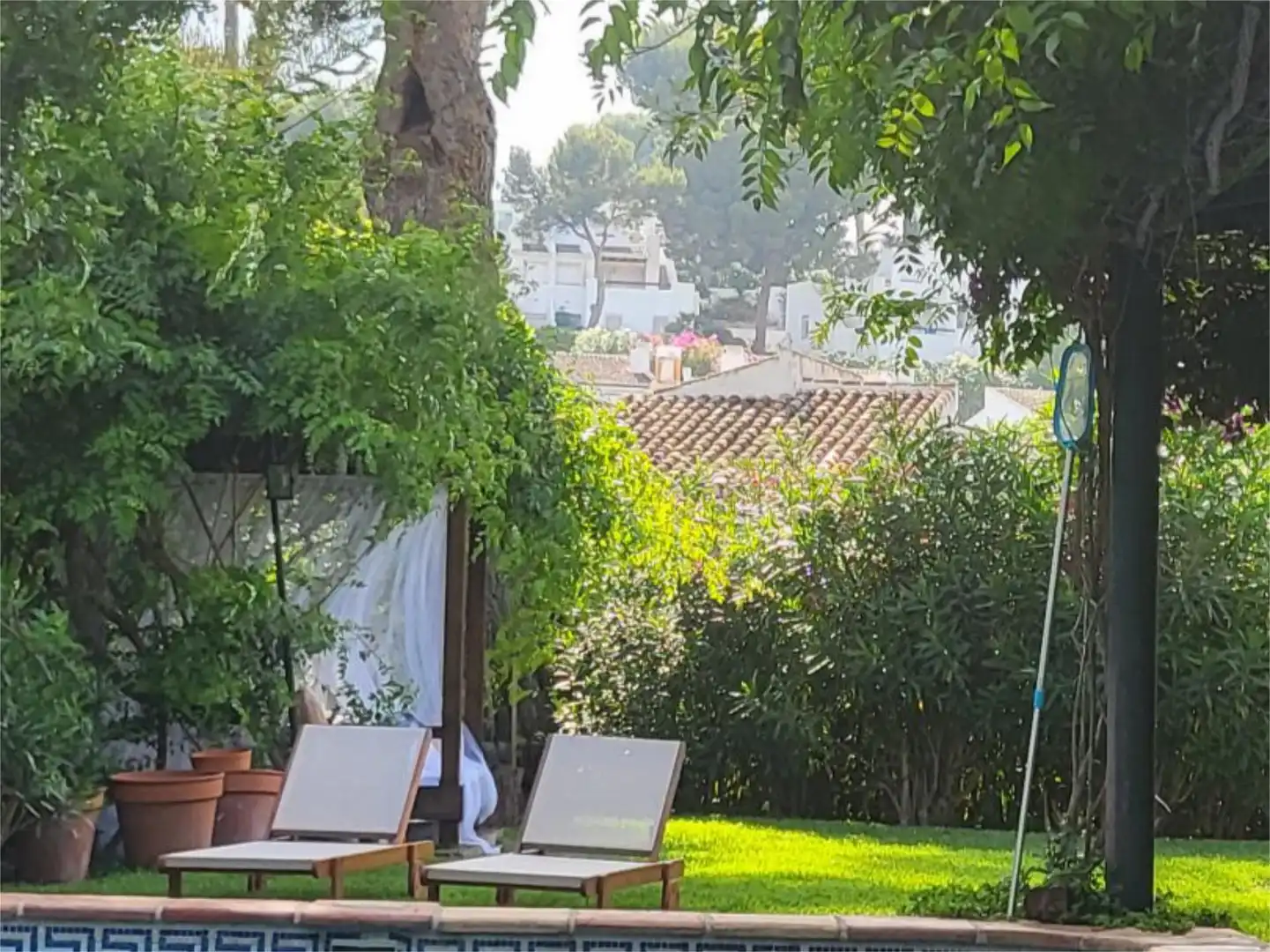 Casa o chalet de alquiler en Calle Chopo, 21, Cap Martí - El Tossalet - Pinomar Casa o chalet de alquiler en Calle Chopo, 21, Cap Martí - El Tossalet - Pinomar