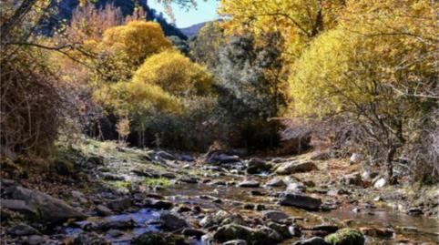 Photo 4 of House or chalet for sale in Calle Zagalacerca, 18, Santa Coloma, La Rioja