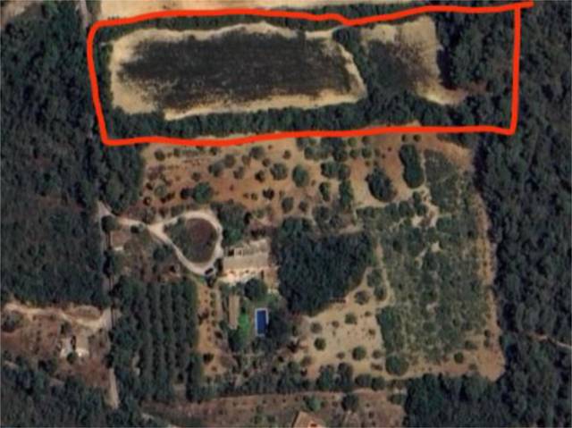 Terreno en Venta en Diseminado Diseminados Var, 208 en Sant Joan