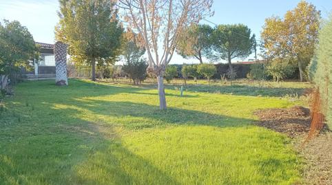 Finca rústica en venta en Calle Virgen de la Higuera, 19, Hormigos, Toledo - imagen 5 Foto 5 de Finca rústica en venta en Calle Virgen de la Higuera, 19, Hormigos, Toledo