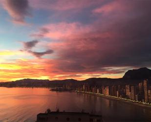 Vista exterior de Estudi en venda en Benidorm amb Piscina