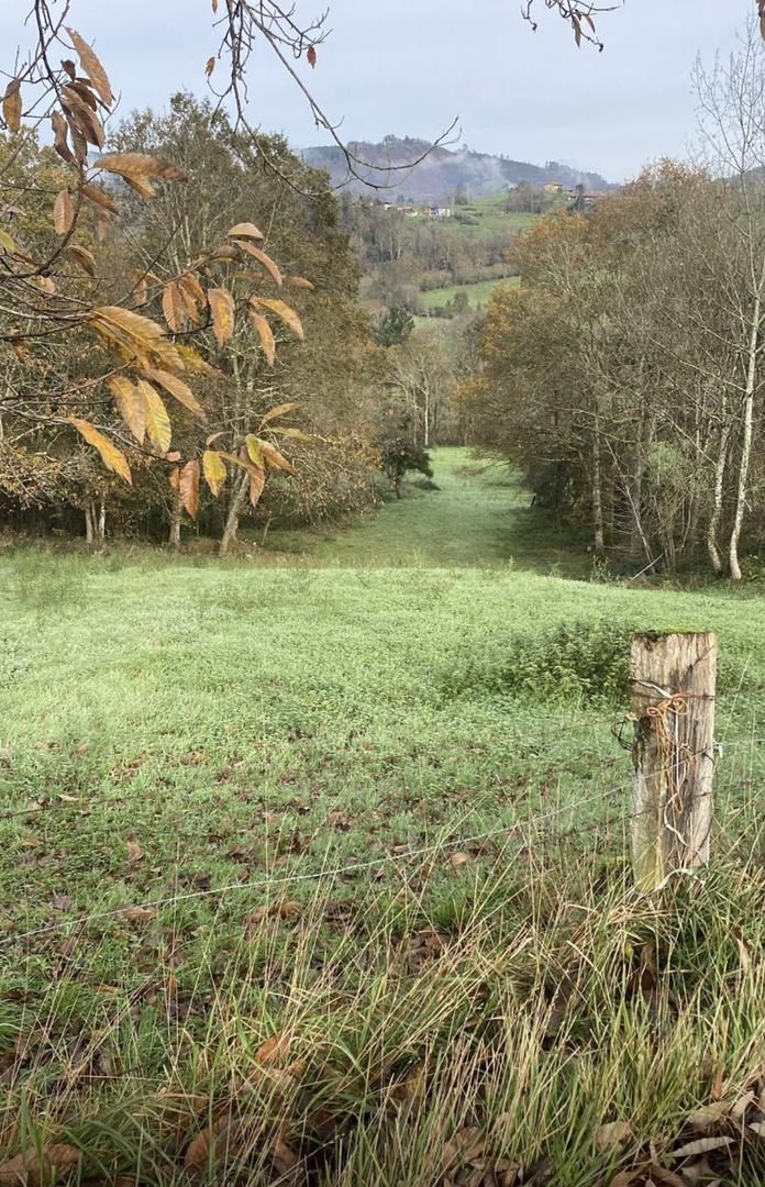Land for sale in Nava
