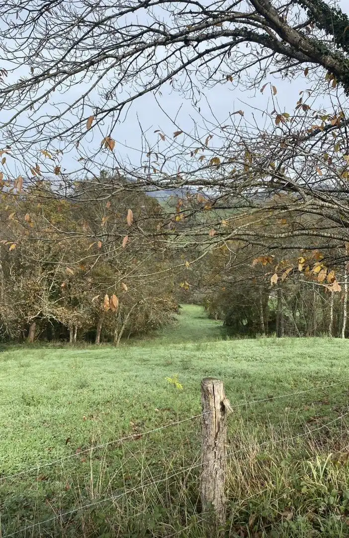 Land for sale in Nava