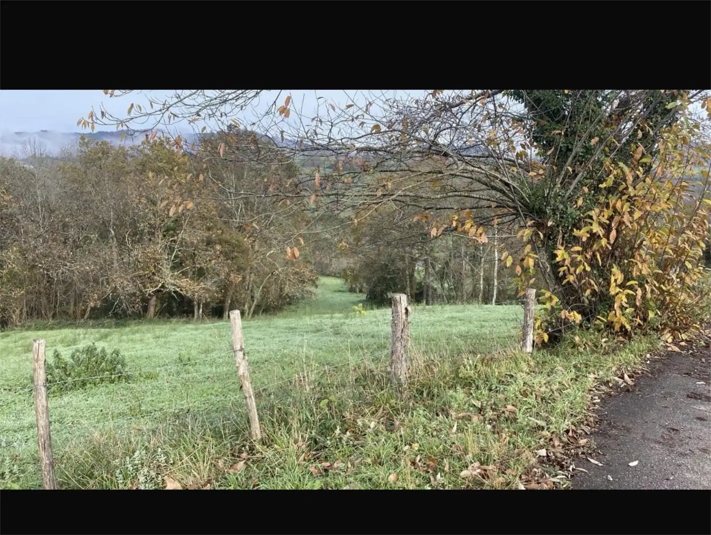 Land for sale in Nava