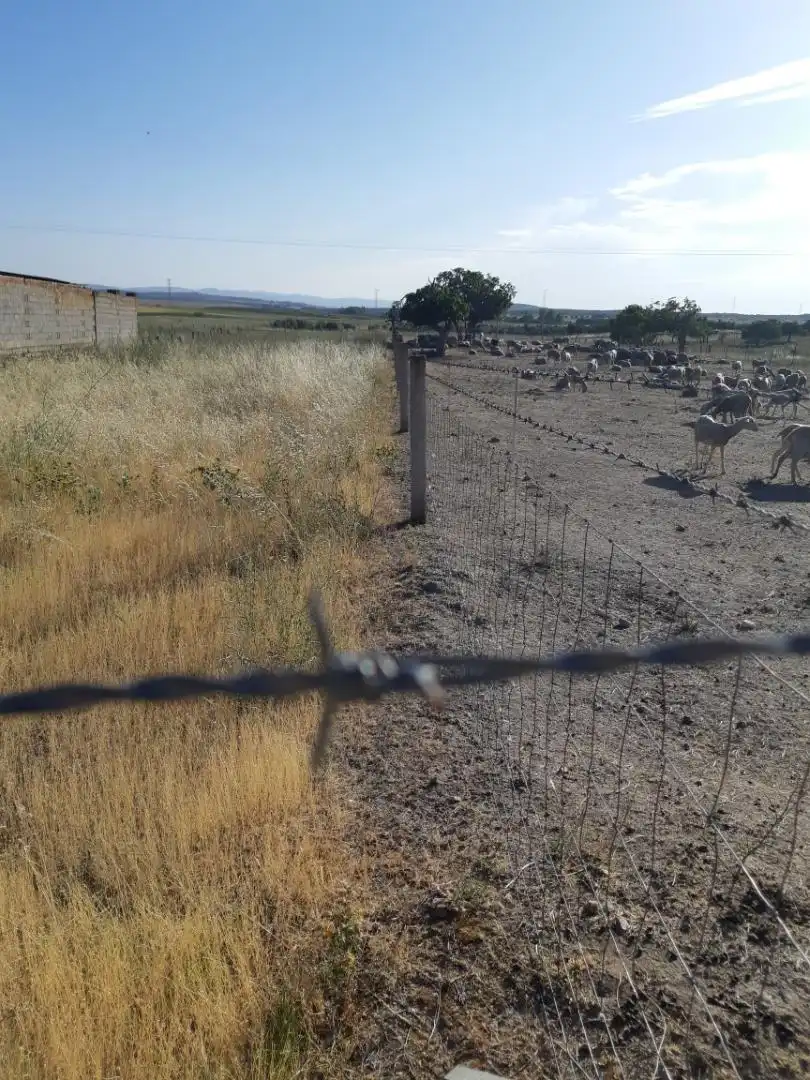 No Urbanizable en venta en Carretera Herreruela, 16, Caleruela No Urbanizable en venta en Caleruela