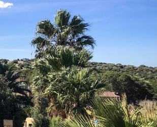 Casa o xalet en venda en Barbate amb Terrassa