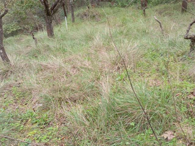 Finca rústica en Venta en Avinguda Europa, 23 en Gelida