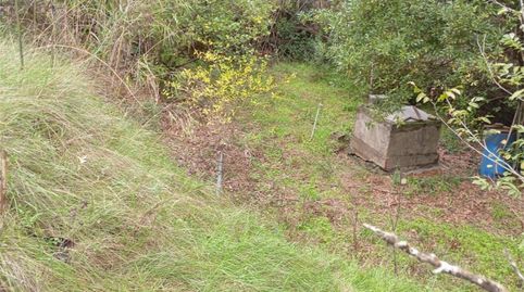 Finca rústica en venta en Avinguda Europa, 23, Gelida, Barcelona - imagen 4 Foto 4 de Finca rústica en venta en Avinguda Europa, 23, Gelida, Barcelona