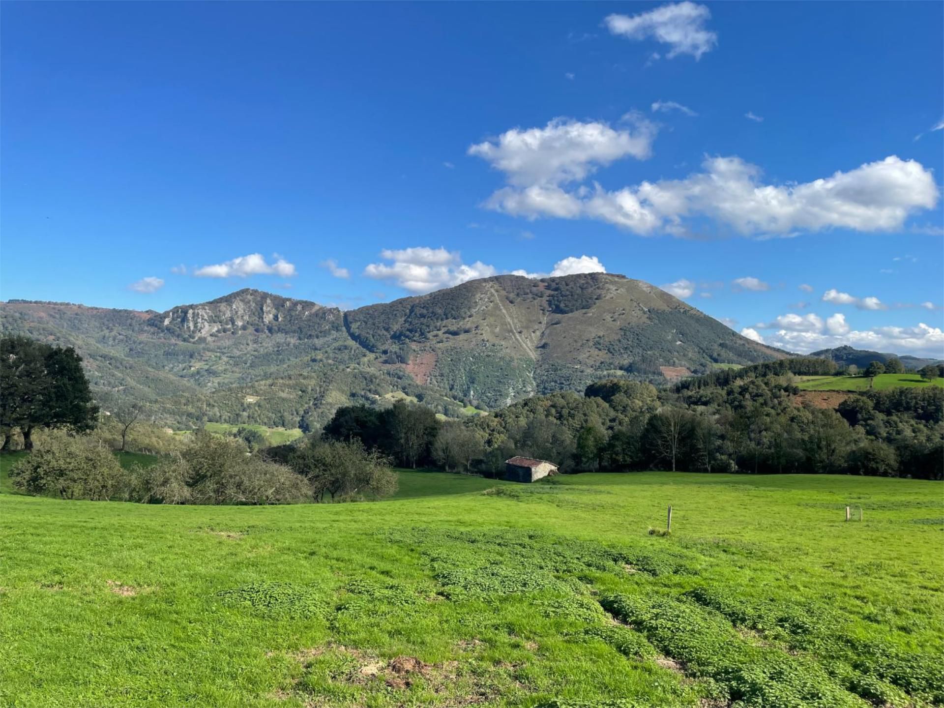 Exterior view of Land for sale in Araitz